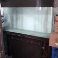اکواریوم