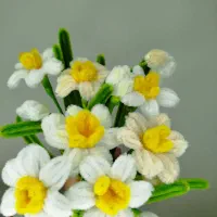 فروش گل مخملی