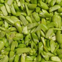 محصولات خانگی