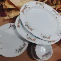 چینی قدیمی ۲۴نفر