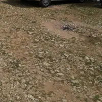 زمین  برای کارواش  یا  کافه  برای واگزاری