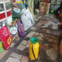 سمپاشی تخصصی نمونه اریا باضمانت کتبی