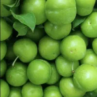 گوجه سبز تازه و ترش