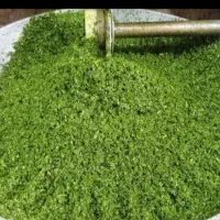 دهکدی سبزی برکت