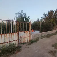 باغچه چهار دیواری