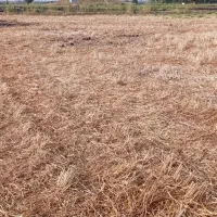 زمین مناسب باغ و ویلا