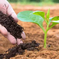 فروش عمده خاک کود معدنی