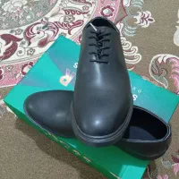 کفش مردانه