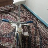 دوچرخه ثابت
