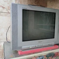 تلویزیون