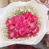 گل رز|گل و گیاه طبیعی|شهریار, شهریار|دیوار