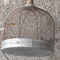 جوجه سهره خاکی