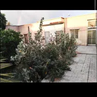 تصمیم گرفتیم بفروشیم