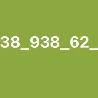 938-938-6262