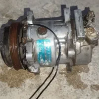 کنپوروسور