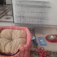 وسایل سگ کامل