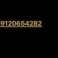 09120654282