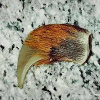 ماکت طرح ناخن دست ساز زیبا