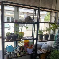 قفسه چوبی مانکن رگال و...