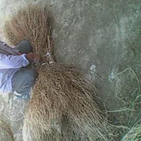 جارو محلی با کیفیت