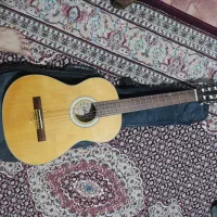 گیتار اریا