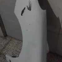 گلگیر بی رنگ  ۲۰۶