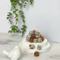 حبه خرما|خوردنی و آشامیدنی|کردکوی, |دیوار