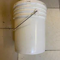 سطل