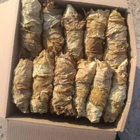 دخترپیچ شیرین برگ زرد