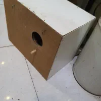 لونه پرنده طوطی سان