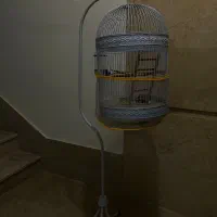 قفس پرنده و کیف همراه