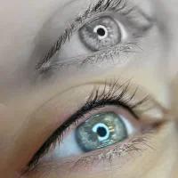 بن مژه|خدمات آرایشگری و زیبایی|شهریار, شهریار|دیوار