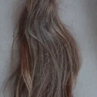 موی نو