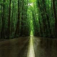 تورشمال لحظه اخری با تخفیف، مقایسه کنید