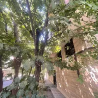 ظفر قلهک 66 متر 2 خواب.نوسازی مدرن