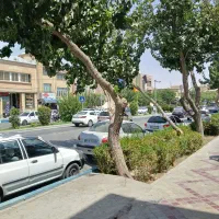 زیر-زمین-تجاری