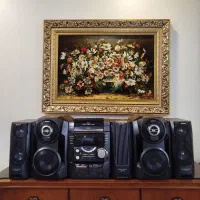 ضبط پرقدرت سونی vx88 کاملا سالم تمیز