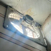 فن بادور بالا
