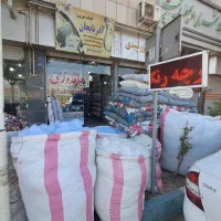 لحافدوزی