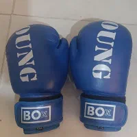 دستکش box YOUNG