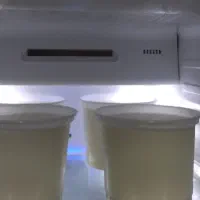 ماست و شیر بز