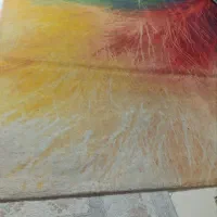 جا کفشی و قالی ۹ متری