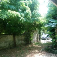 ۲۴۰مترکلنگی/جنوبی/پهنهR131/فرصت طلایی خرید