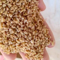 گندم و جو|لوازم جانبی حیوانات|دهلران, |دیوار