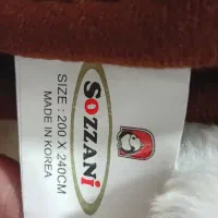 پتودونفره سوزنی خارجی