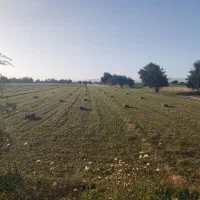 پرس یونجه