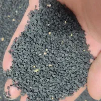 بذر پیاز طارم