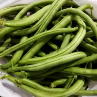 لوبیا سبز