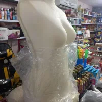مانکن