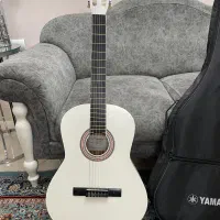 گیتار اموزشی